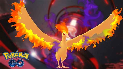 best shadow moltres counters